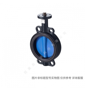 Siemens/西門子樓宇自動(dòng)化 VXF42.50-40C調(diào)節(jié)閥
