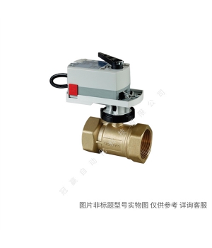 Siemens/西門(mén)子樓宇自動(dòng)化 S55208-V146 法蘭連接三通調(diào)節(jié)閥